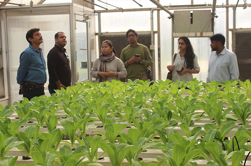 Commercial hydroponic course